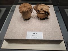 -巴音郭楞蒙古自治州博物馆
