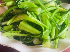 迟菜心-荔枝红五号农庄
