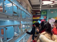-FAELING PETS美天灵宠物(合生汇店)