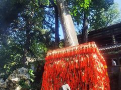 -潭柘寺景区