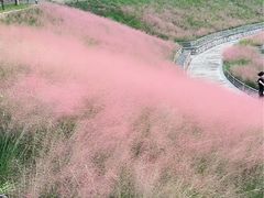 -牛岗山公园