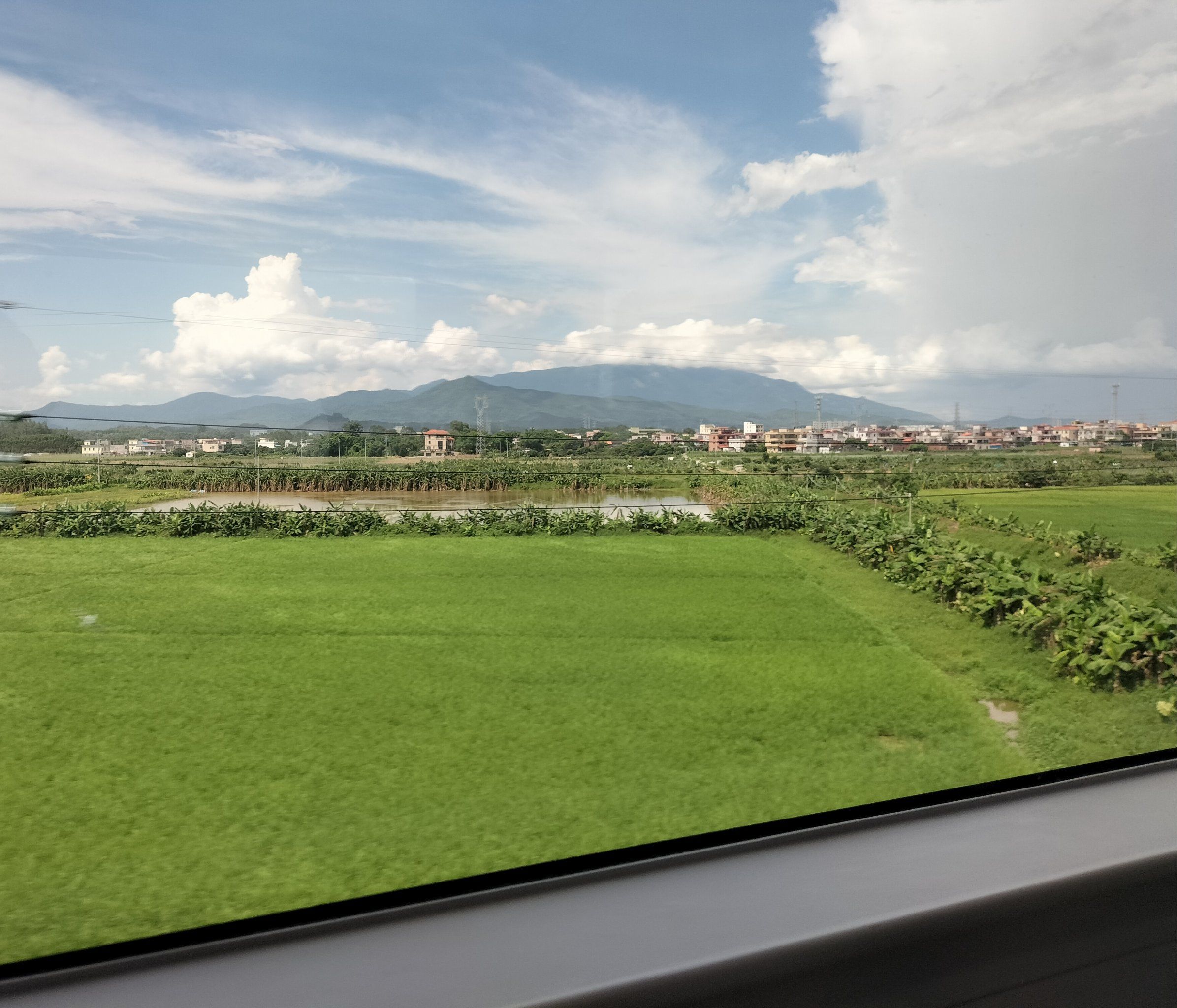 高铁的窗外风景特别美