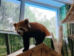 -哈尔滨极地公园