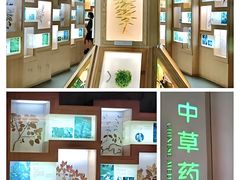 -广东省博物馆