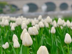 -玄武湖景区-情侣园游乐场