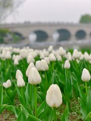 -玄武湖景区-情侣园游乐场