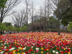 -大宁公园