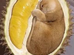 -萨莉亚意式餐厅(天河城购物中心店)