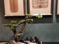 -新雅粤菜馆(南京东路店)