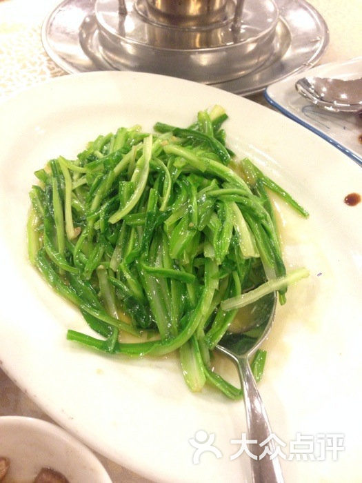 青龙菜
