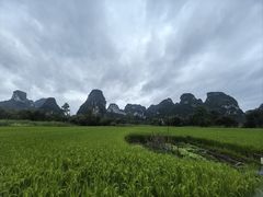 -靖西鹅泉风景区