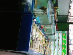-瓦国小镇·果木烤鸭·融合菜(西口店)