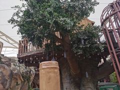 -杭州开元森泊度假乐园