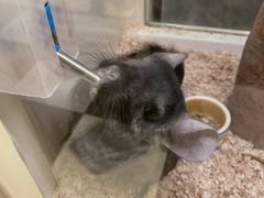 -龙猫仔乐园(惠福东路店)