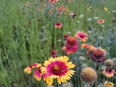 -汉长安城未央宫国家考古遗址公园