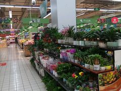 -大润发(张江店)