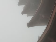 -缙云山景区