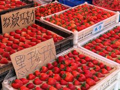 -南坛综合农贸市场