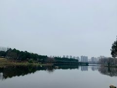 -洋湖国家湿地公园