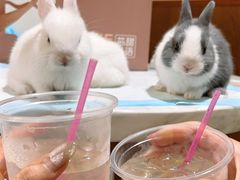 -大象厨房(重庆道店)