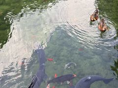-姑婆山旅游区