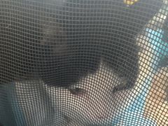 -谐和贝康宠物医院24小时·宠保定点(急重症转诊中心)