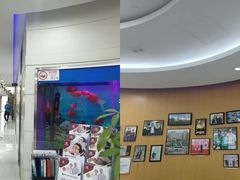 -雅悦齿科(顾村公园店)