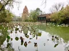 -西溪国家湿地公园