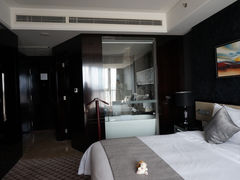 豪华大床房-常州环球恐龙城维景国际大酒店