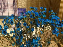-艺水间水汇