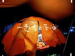 -武陵山森林公园