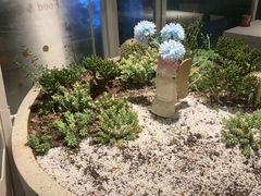 -春树下·树屋花房西餐厅(罍街AS1980店)