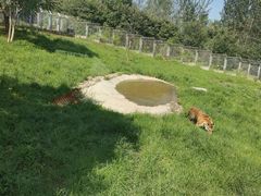 -西安秦岭野生动物园
