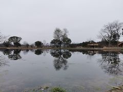 -良渚文化村