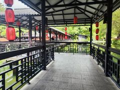 -侨美·唐荔园·40年地道粤菜