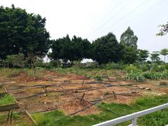 -长洲岛都市农业公园