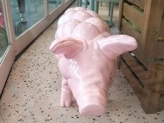 -WHEN PIGS FLY当猪飞