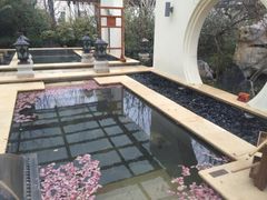 -苏州湾王焰温泉度假酒店