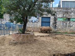 -无锡动物园·太湖欢乐园