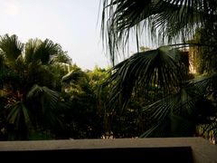 android_upload_pic-三亚亚龙湾凯莱仙人掌度假酒店