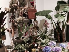 -植物学家的女儿(北马道巷店)