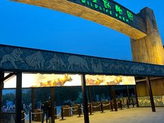 -北京野生动物园