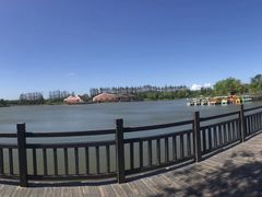 -上海长兴岛郊野公园