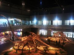 -自贡恐龙博物馆