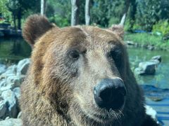 -北京野生动物园