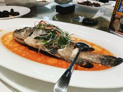 -老洋房花园饭店(绍兴路店)