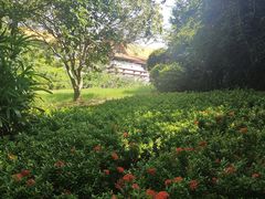 -三亚海棠湾万丽度假酒店