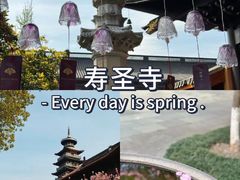 -太湖龙之梦