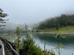 -武陵山森林公园