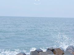 -东堤公园